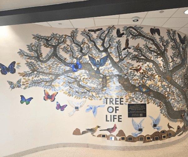 tree-of-life-final_600x500